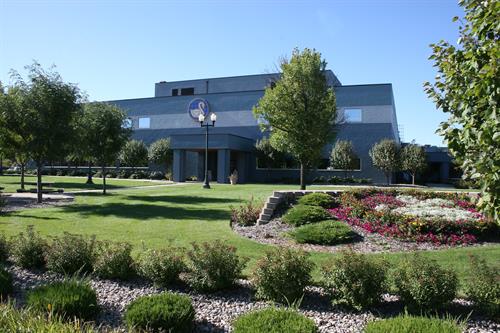 Schwan's